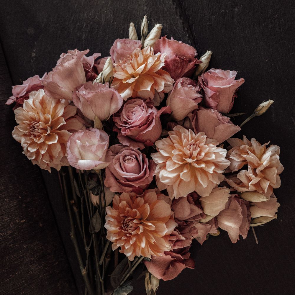 Present Life - Funeral Streaming Services